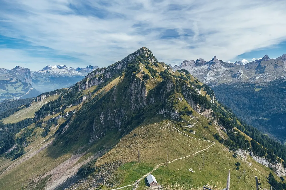 中道文化總會簡介